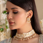 Load image into Gallery viewer, FARNAAZ
