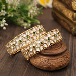 Load image into Gallery viewer, ZARIYA BANGLES
