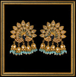 Load image into Gallery viewer, PANKH (6962924847265)
