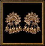 Load image into Gallery viewer, PANKH (6962924847265)
